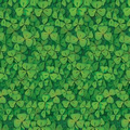 Clover Field Backdrop